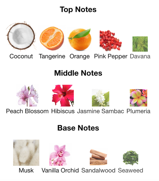 Guess - Sexy Skin Solar Warmth Fragrance Mist Sample/Decant