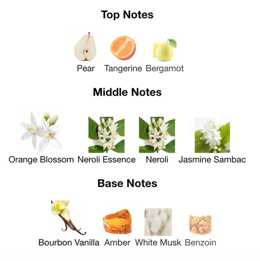 Prada - Paradoxe Eau de Parfum Sample/Decant