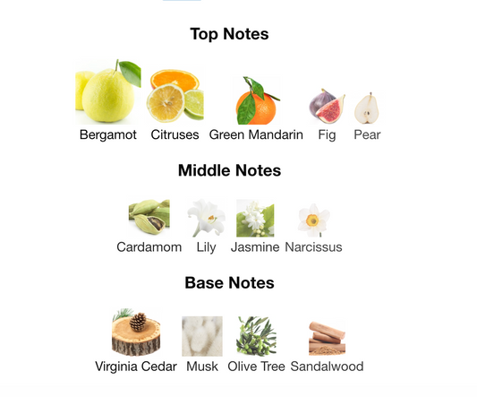 Versace - Versense EDT Sample/Decant