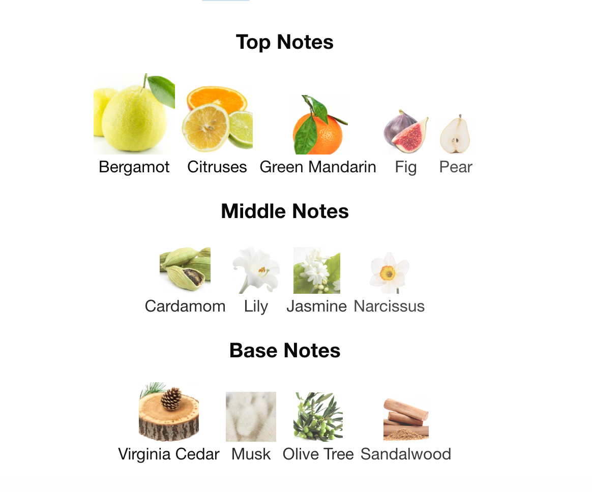 Versace - Versense EDT Sample/Decant